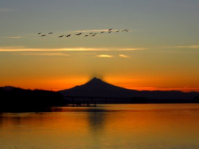 Sunrise at Columbia River and Mt. Hood
