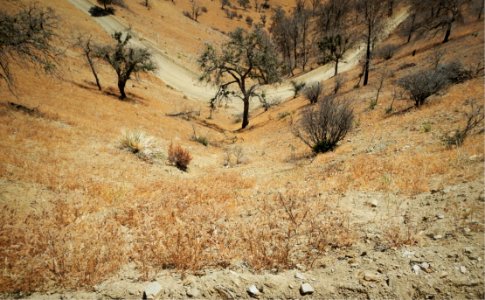 Landscape Cooks Peak Lookout in Bakersfield Field Office