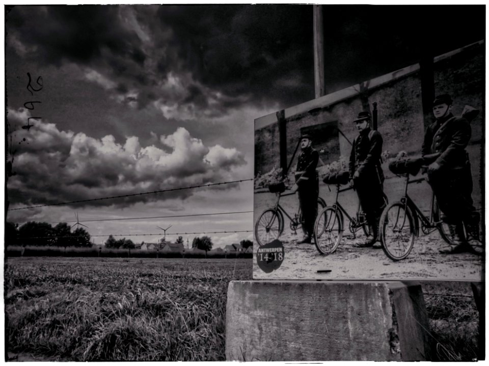The Great War Remembrance