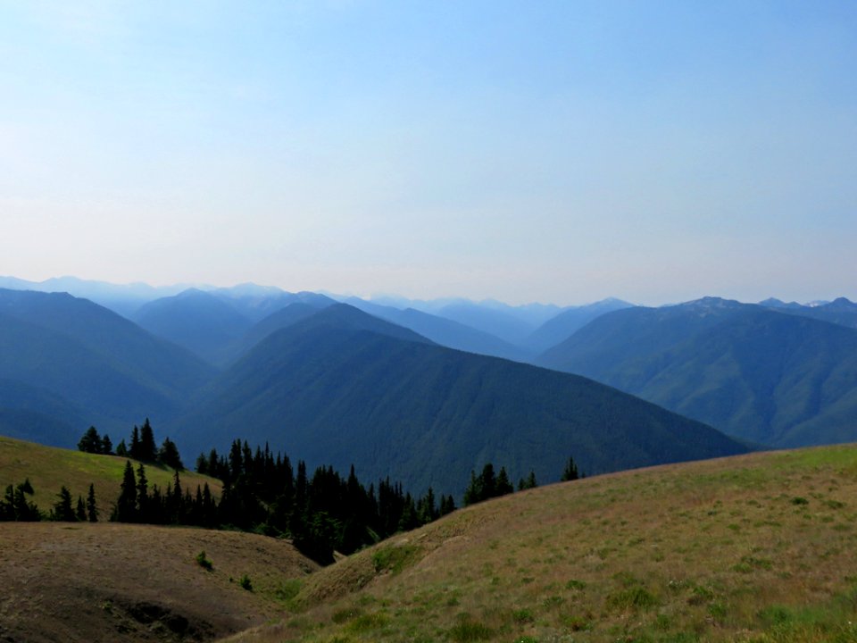 Hurricane Ridge at Olympic NP in Washington