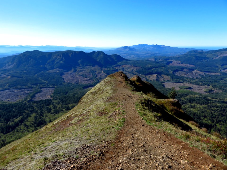 Saddle Mountain Trail in OR