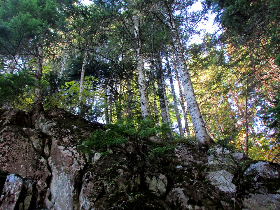 Larch Mountain at Columbia River Gorge in OR