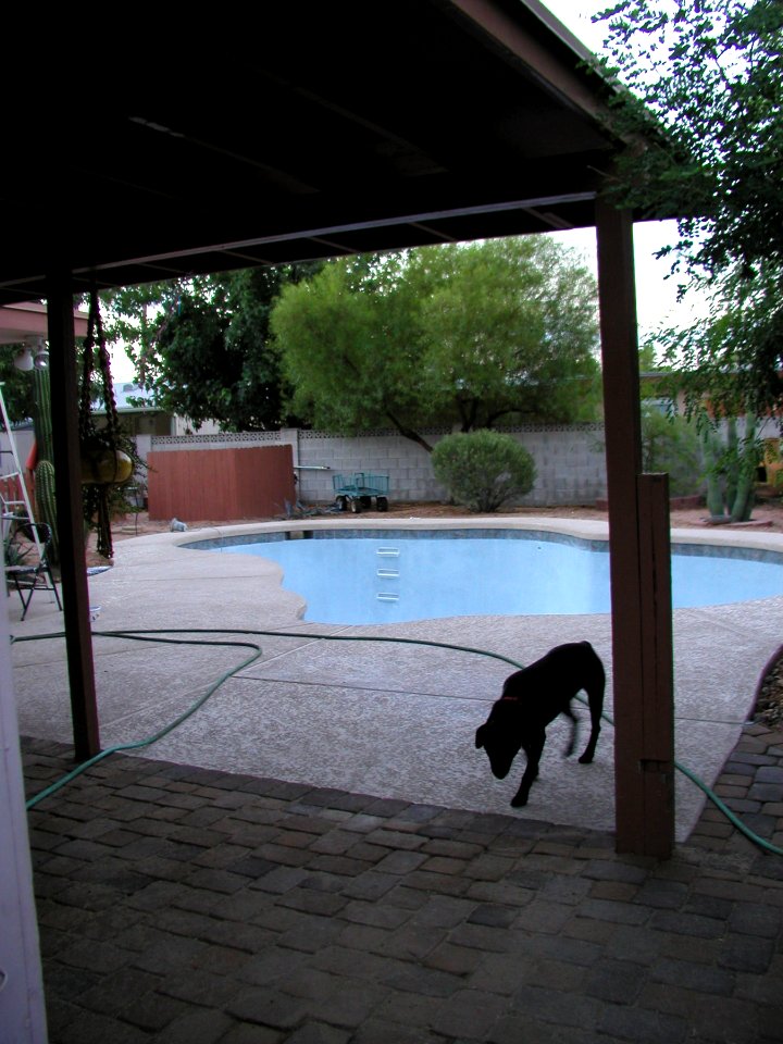 Not Ready to Swim
