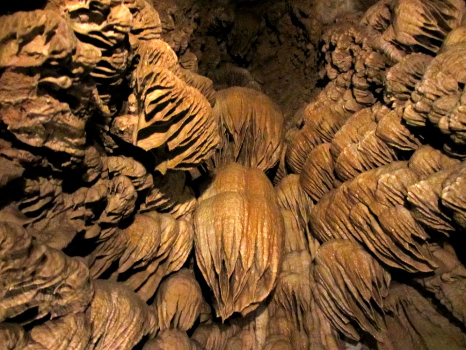 Oregon Caves NM