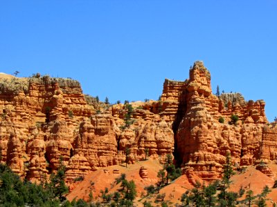 Dixie NF in UT