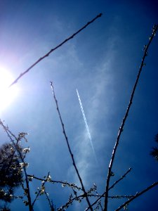 Lines Across the Sky