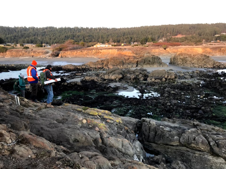 California Coast National Monument, Sea Ranch Task Force, Ukiah Field Office