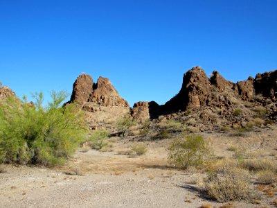 Organ Pipe Cactus NM in Arizona