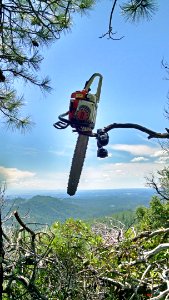 Chappie Shasta OHV Area photo