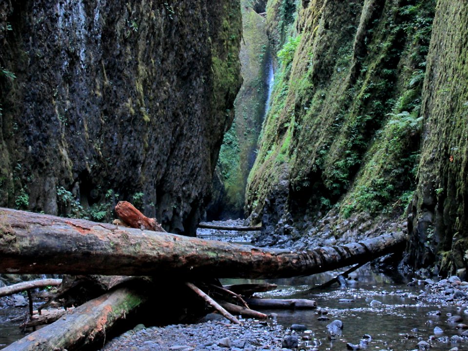 Oneonta Gorge at Columbia River Gorge in OR