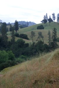 Cronan Ranch