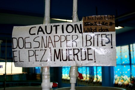 You Have Been Warned!