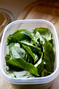 Fresh Basil!
