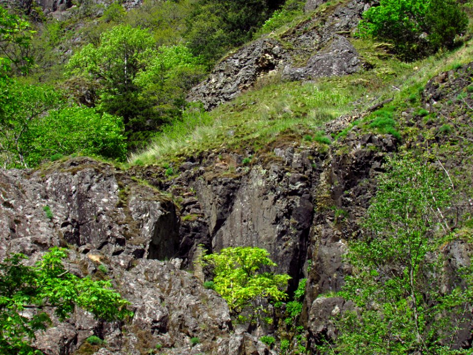 Dog Creek Falls Trail in WA