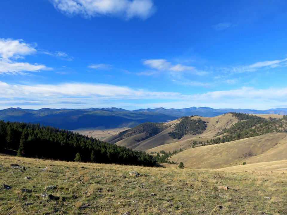 National Bison Range in Montana