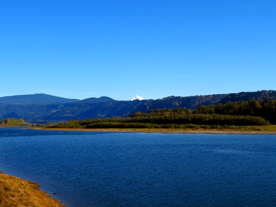Columbia River at Steigerwald Lake NWR in WA