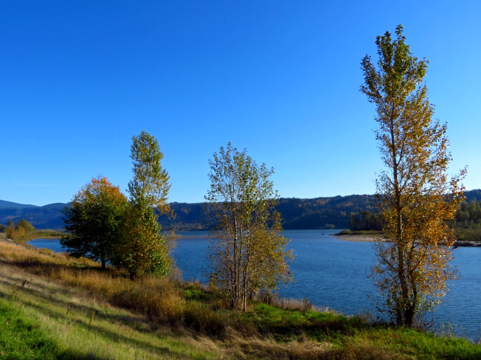 Columbia River at Steigerwald Lake NWR in WA