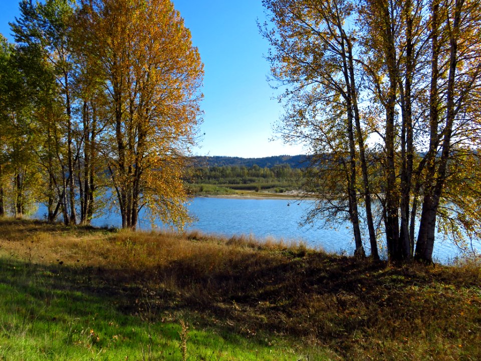 Columbia River at Steigerwald Lake NWR in WA