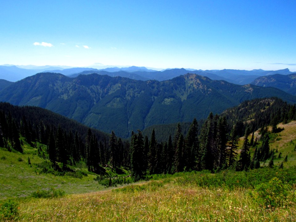 Tatoosh Wilderness in WA