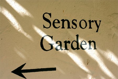 In the Garden Are...