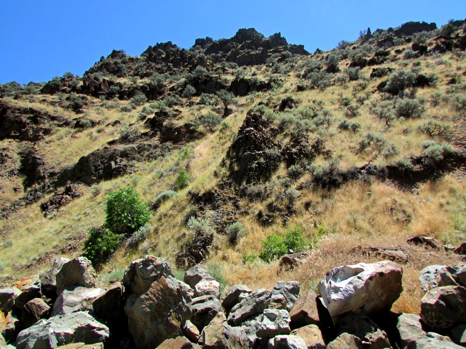 Landscape in Central OR