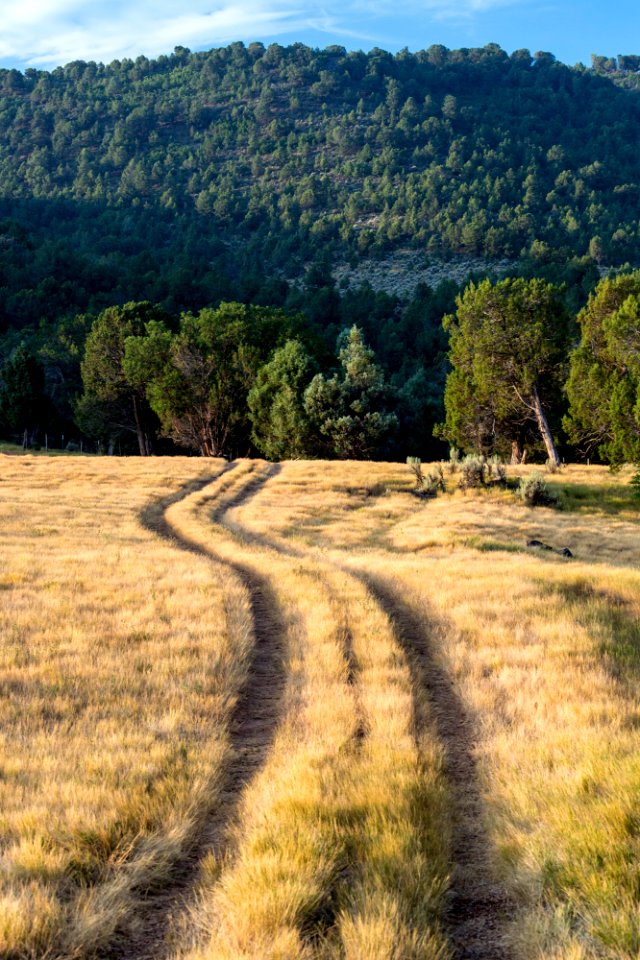small Sutey Ranch CO-1044
