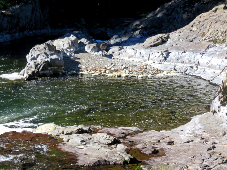 Lucia Falls Park at Lewis River in WA