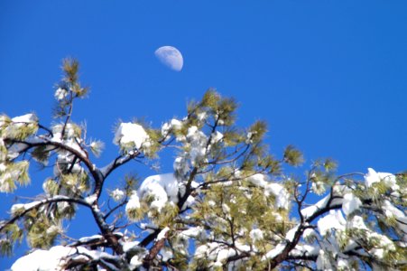 Half Moon Rising
