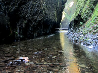 Oneonta Gorge at Columbia River Gorge in OR
