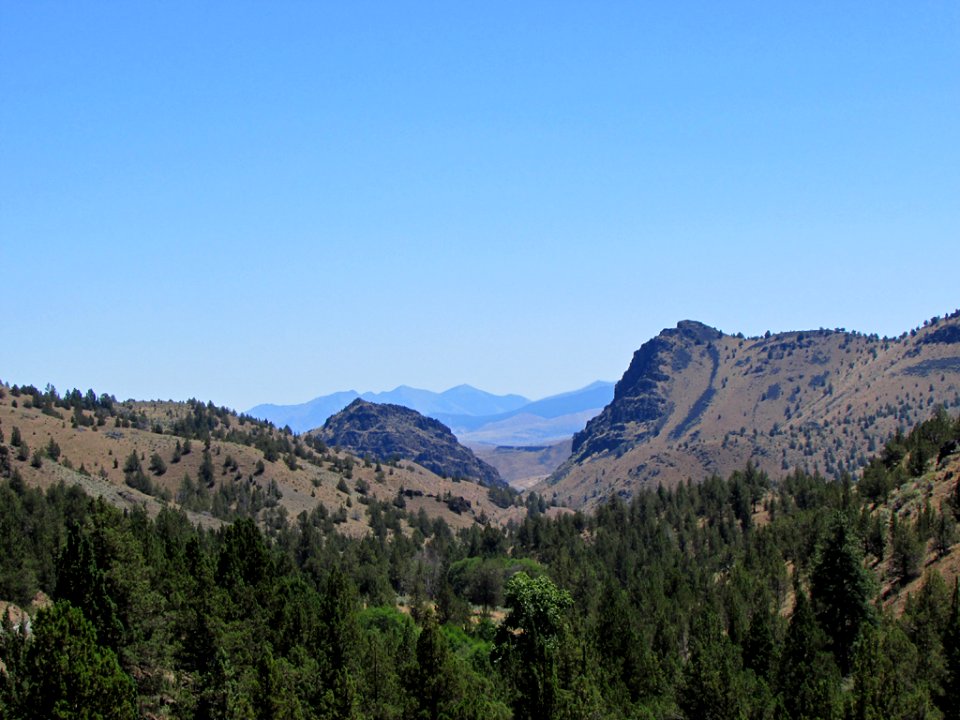 Landscape in Central OR