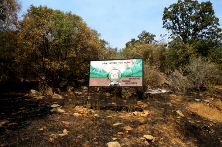 Detwiler Fire in Mother Lode Field Office photo