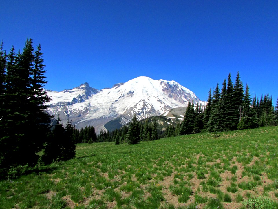 Mt. Rainier NP in WA