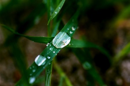 My first steps with the sigma 105mm macro lens