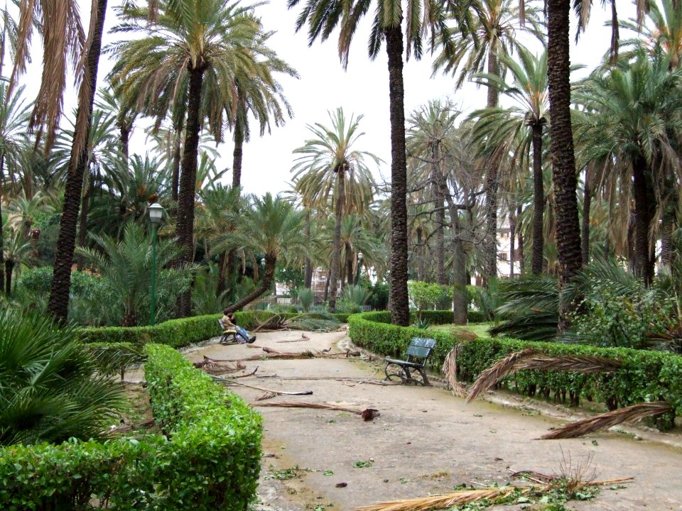 Palermo-Sicily-Italy - Creative Commons by gnuckx