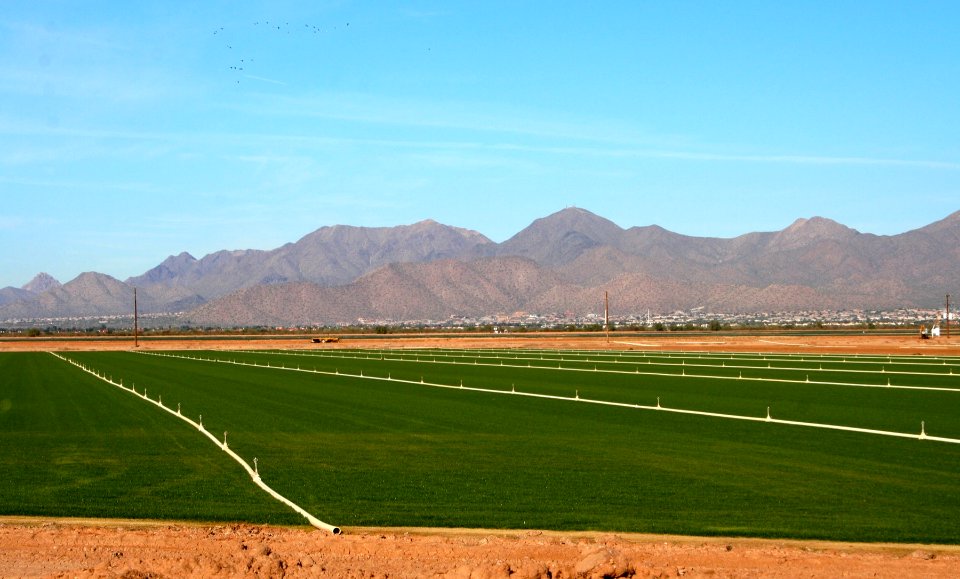 McDowell Mountains