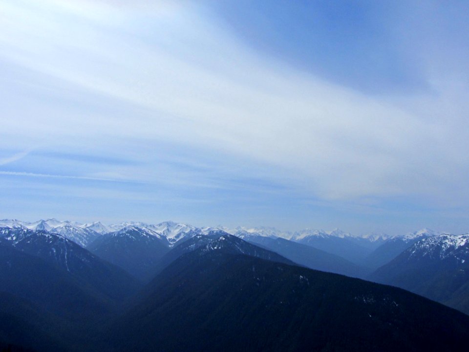 Hurricane Ridge at Olympic NP in WA