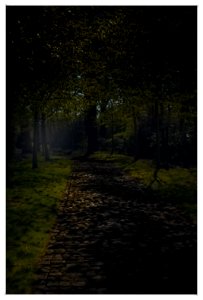The Earl's Driveway