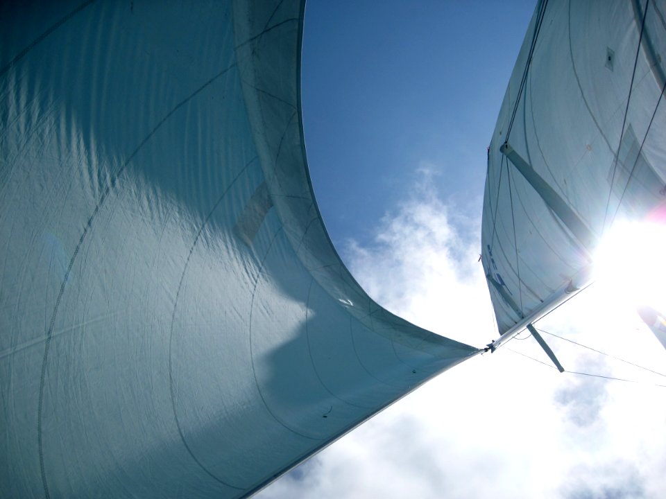 2009/365/91 Sails Up