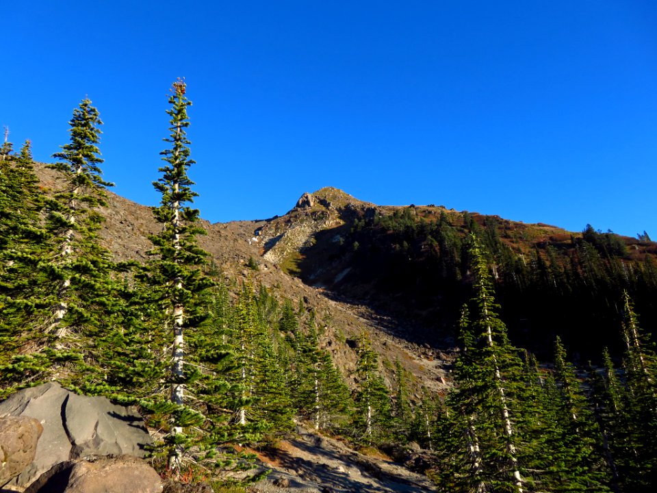 Mt. St. Helens Summit Trail in WA