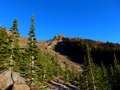 Mt. St. Helens Summit Trail in WA photo