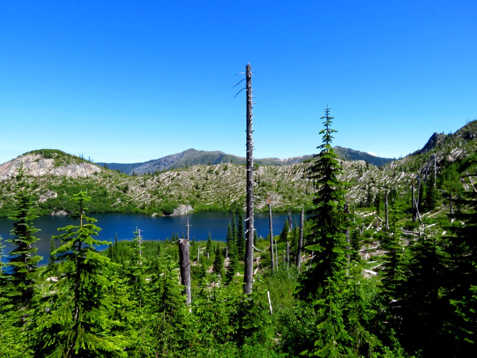 Panhandle Lake at Mt. Margaret Backcountry in WA