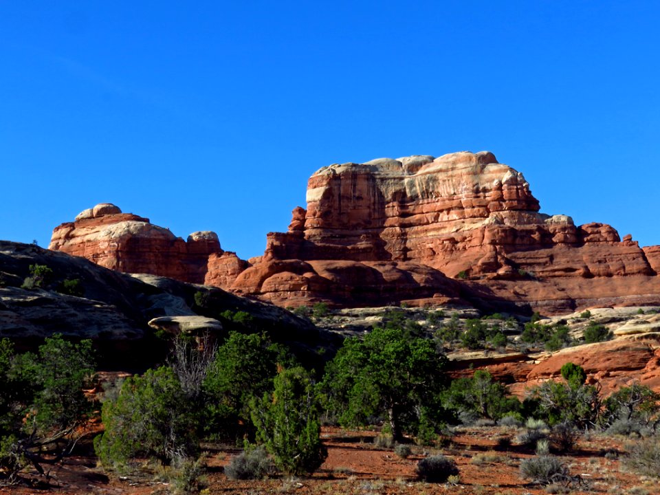 Needles District at Canyonlands NP in Utah photo