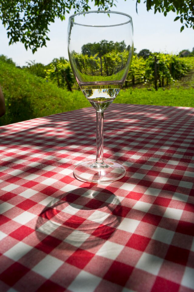Wine glasses viticulture etyek
