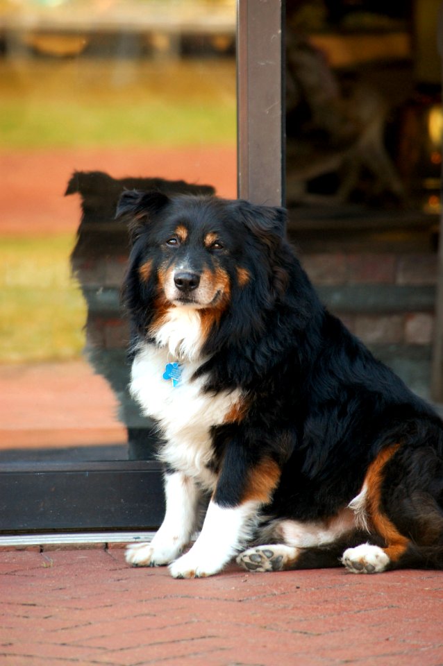 DSC 3756 Jack