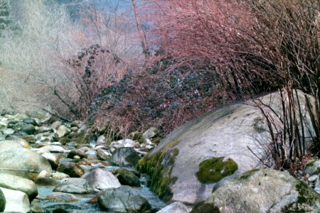 Chiusella River scene
