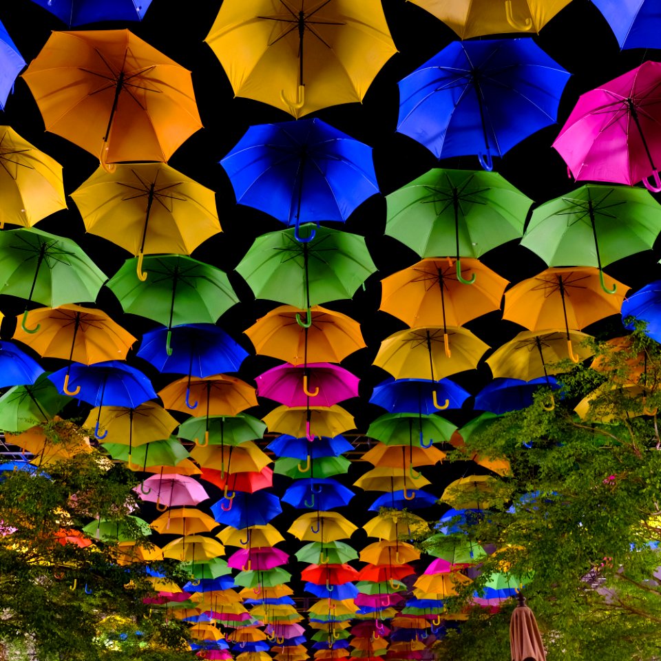 Umbrellas on Giralda Ave. mall in Coral Gables,FL.