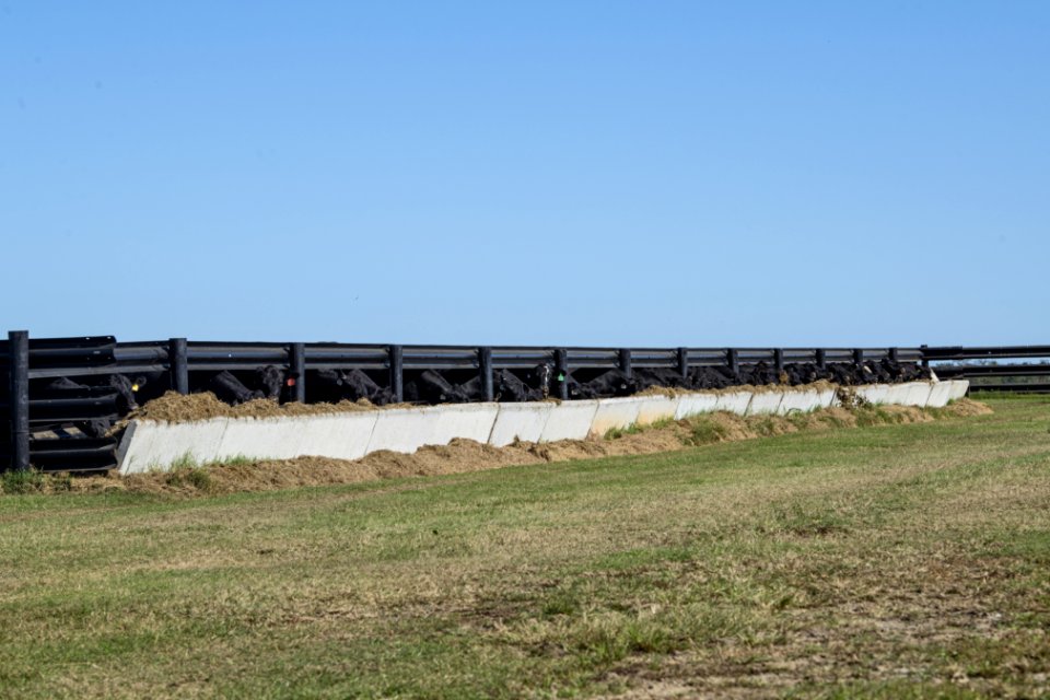 20201117-NRCS-LSC-0185