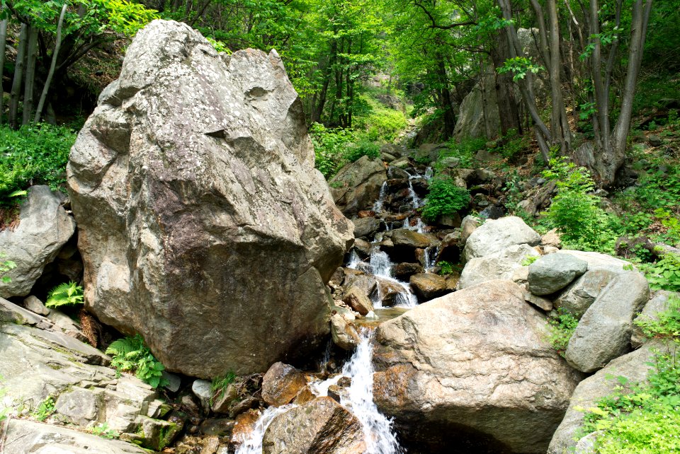 Val Chiusella, stream. Best viewed large.