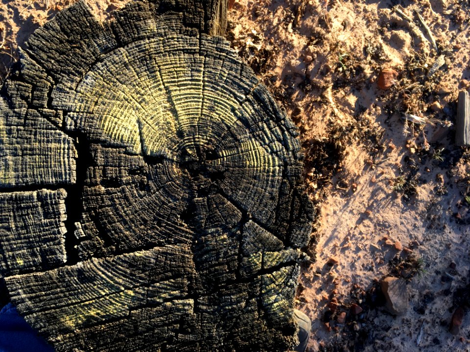 Time's Fingerprint