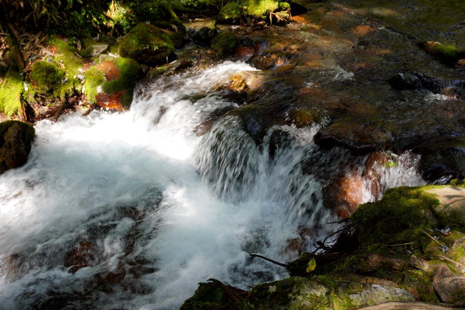 The murmur of a stream